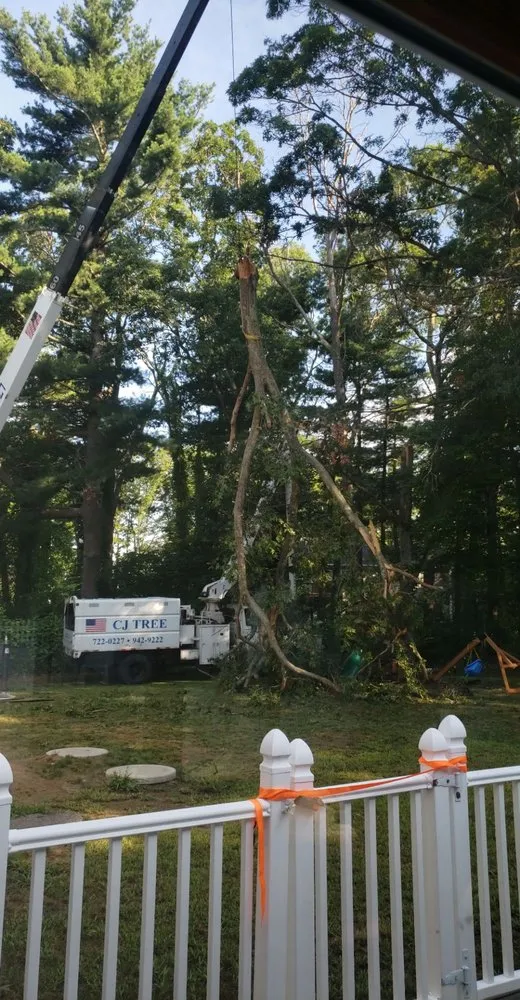 Affordable landscape design for outdoor upgrades in Lincoln, RI by CJ Tree Service