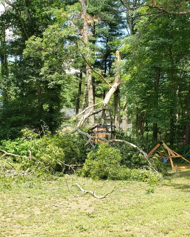 Expert residential landscaping in Lincoln, RI by CJ Tree Service