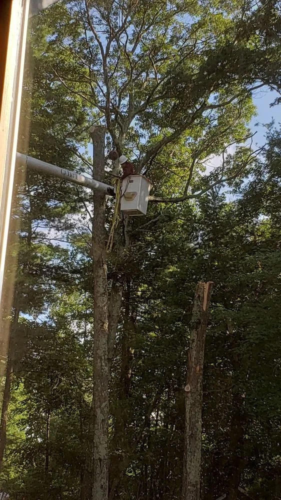 Trusted yard cleanup service for outdoor upgrades in Lincoln, RI by CJ Tree Service