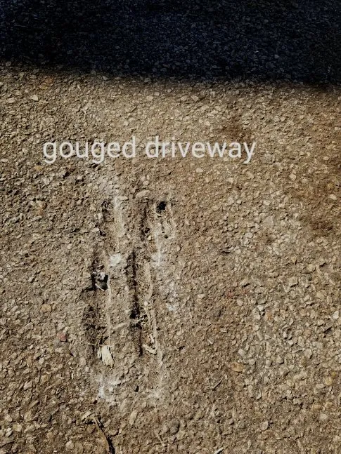 Expert yard maintenance for residential properties in Lincoln, RI by CJ Tree Service