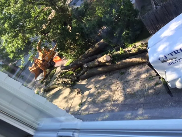 Professional landscape design near you across Lincoln, RI - CJ Tree Service