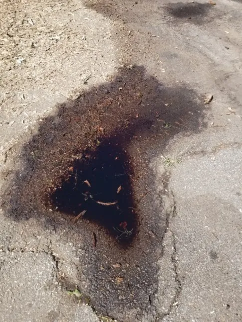 Local residential landscaping experts serving Lincoln, RI - CJ Tree Service