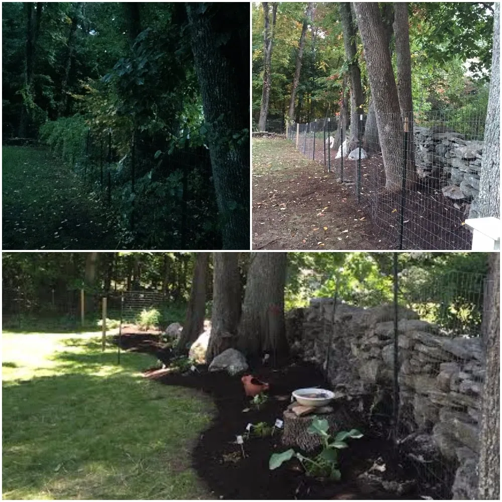 Professional lawn care service for outdoor upgrades in Enfield, CT by Cjay's Landscaping