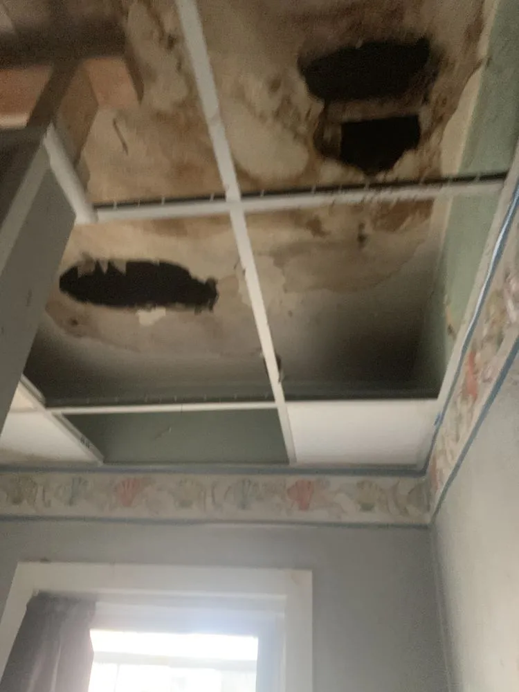 Professional landscape design for outdoor upgrades across Scranton, PA - Cjays Lawn Care And Home Reno’s