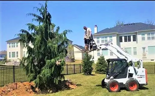 Reliable garden landscaping in Wilmington, DE - CJB Landscaping