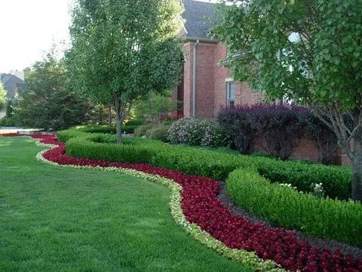 Top-rated landscape installation for year-round maintenance across Wilmington, DE - CJB Landscaping