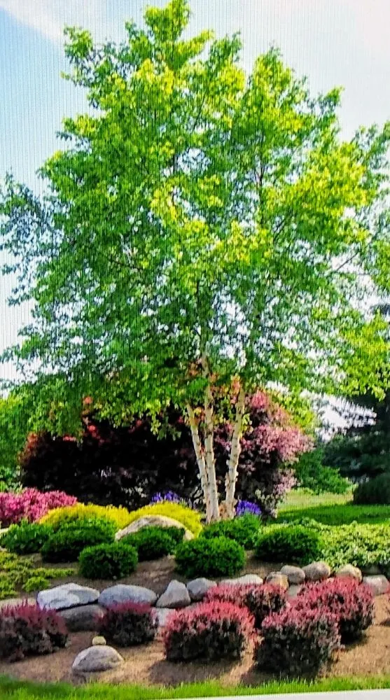 Custom yard maintenance in Wilmington, DE - CJB Landscaping