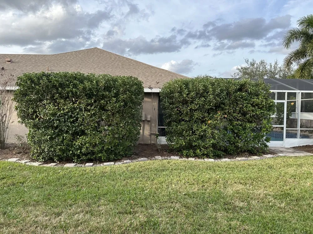 Trusted lawn care service in Saint Cloud, FL - CJB Lawn Care