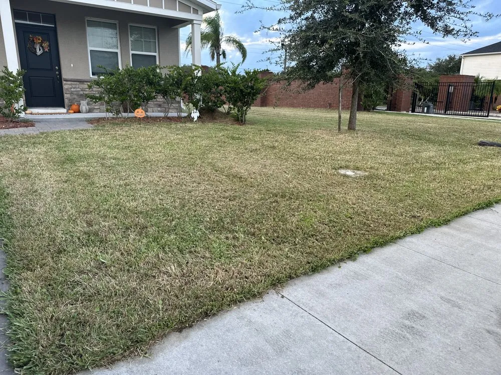 Expert landscaping services experts serving Saint Cloud, FL - CJB Lawn Care