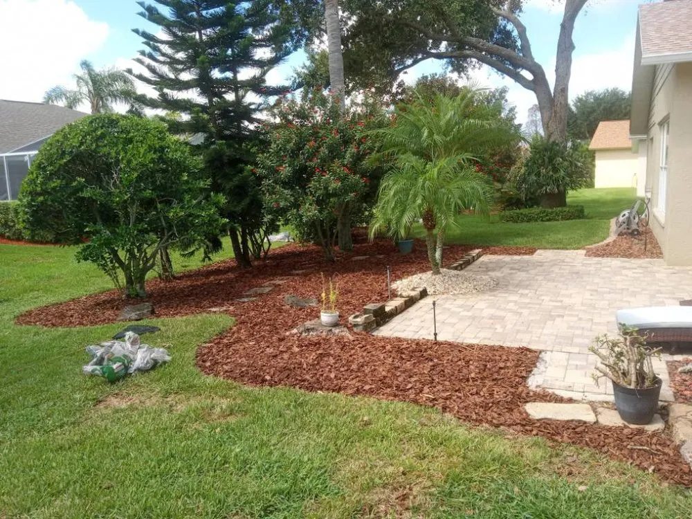 Local landscaping services in Spring Hill, FL - CJ&B Lawn care