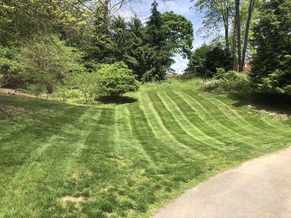 Expert yard maintenance near you across Belle Vernon, PA - CJE Landscaping