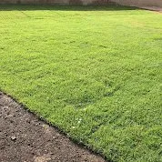 Professional yard maintenance in Liberty Hill, TX by CJJ Lawn Care Landscape