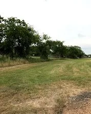 Trusted yard maintenance for beautiful yards across Liberty Hill, TX - CJJ Lawn Care Landscape