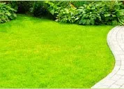 Custom lawn mowing service experts serving Liberty Hill, TX - CJJ Lawn Care Landscape