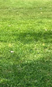 Trusted landscape design experts serving Liberty Hill, TX - CJJ Lawn Care Landscape