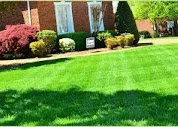 Professional outdoor landscaping in Liberty Hill, TX by CJJ Lawn Care Landscape