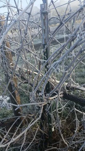 Reliable garden landscaping for outdoor upgrades across Springfield, OR - CJL Fisherman Agricola