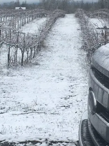 Reliable landscape design in Springfield, OR - CJL Fisherman Agricola