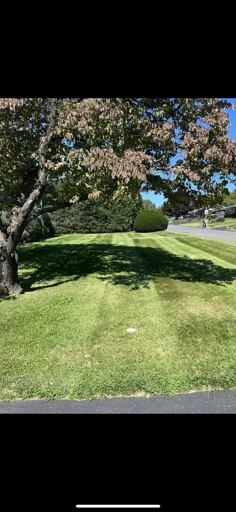 Reliable yard maintenance in Walnutport, PA by CJL Lawncare