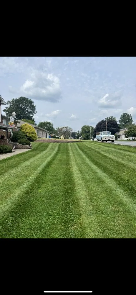 Custom yard cleanup service in Walnutport, PA - CJL Lawncare
