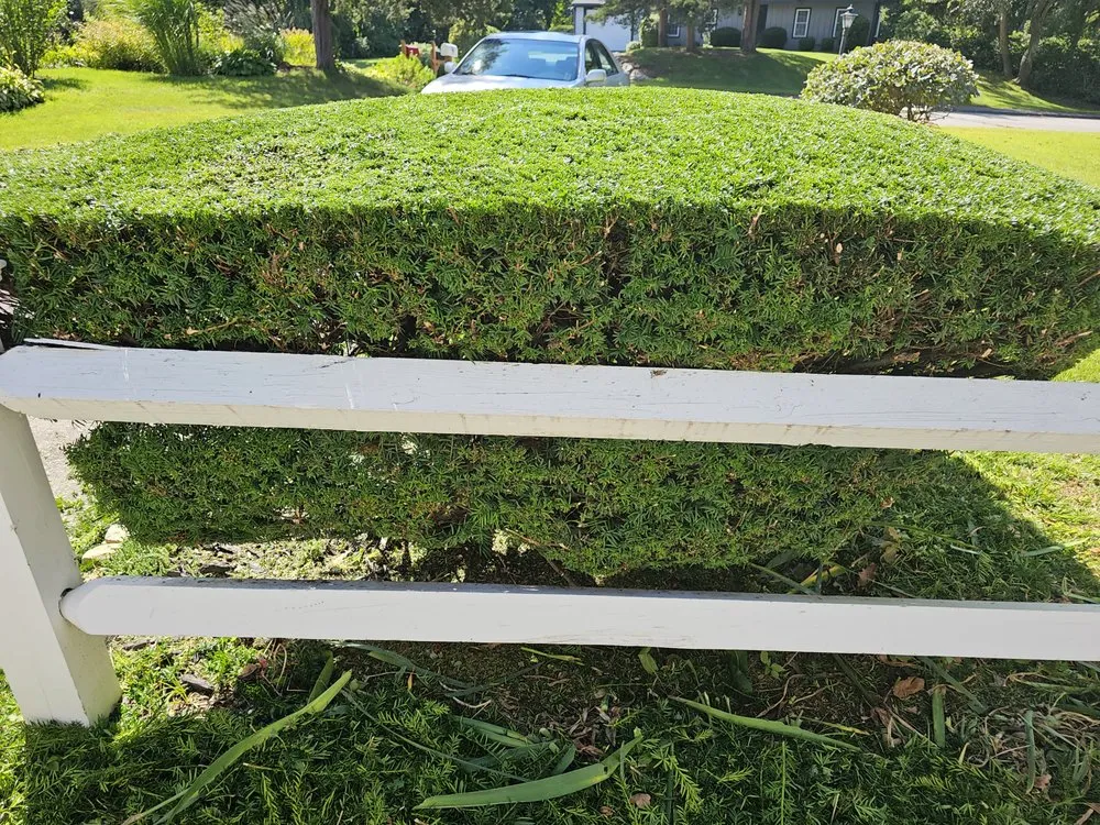 Local landscape design experts serving Rockland, MA - Cjm Property Maintenance