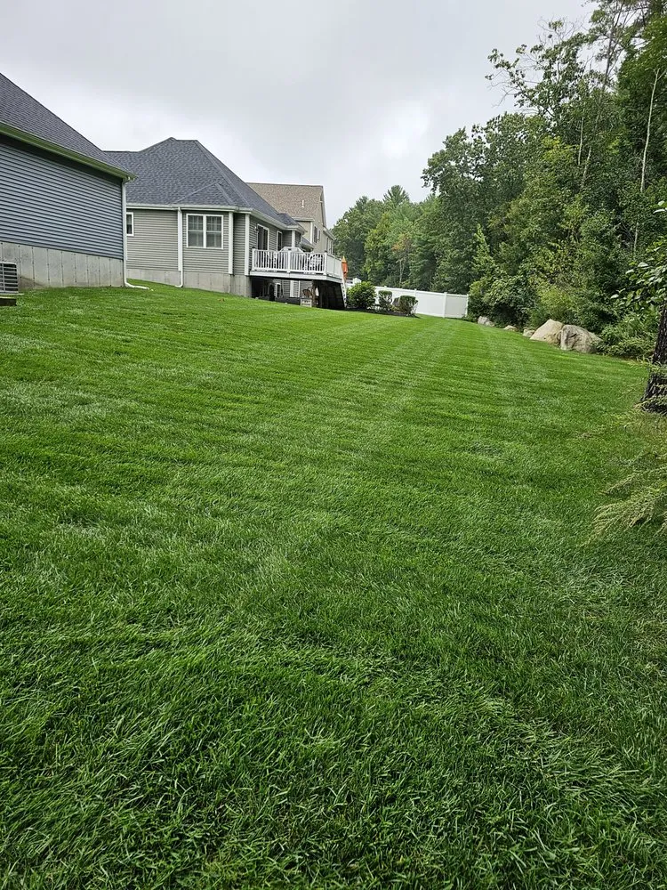 Custom lawn care service for outdoor upgrades in Rockland, MA by Cjm Property Maintenance
