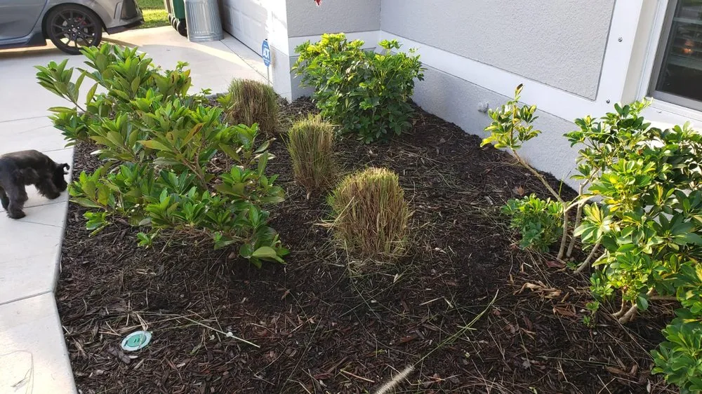 Expert lawn mowing service in Cape Coral, FL by CJN Property Maintenance