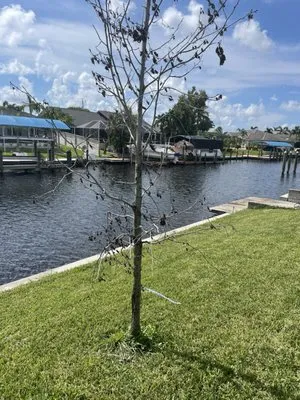 CJN Property Maintenance Logo