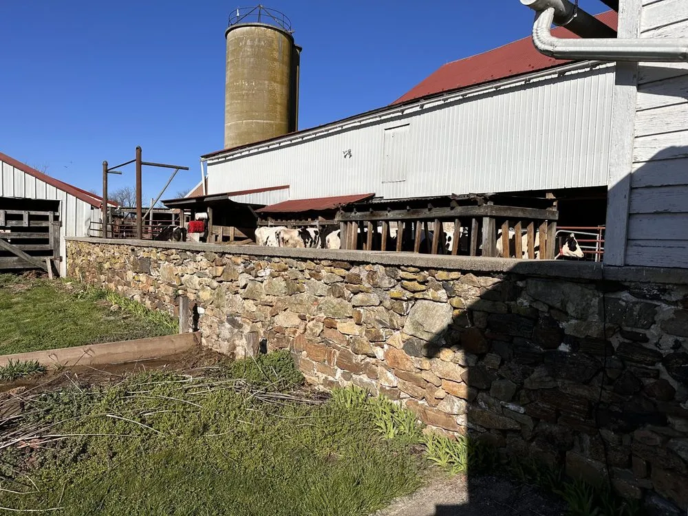 Reliable outdoor landscaping experts serving Exton, PA - CJQ Hardscaping & Landscaping