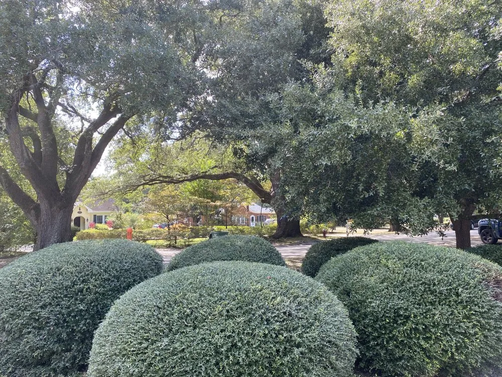 Top-rated garden landscaping experts serving Aiken, SC - CJR Landscaping