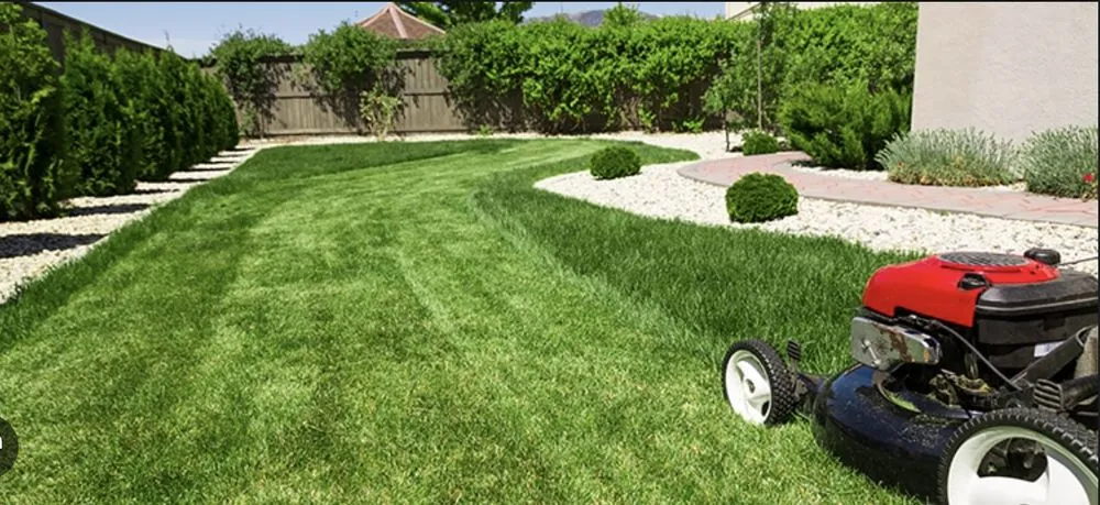 Top-rated lawn mowing service in Aiken, SC - CJR Landscaping