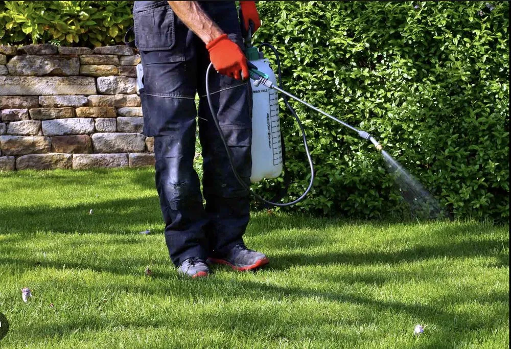 Affordable yard maintenance experts serving Aiken, SC - CJR Landscaping