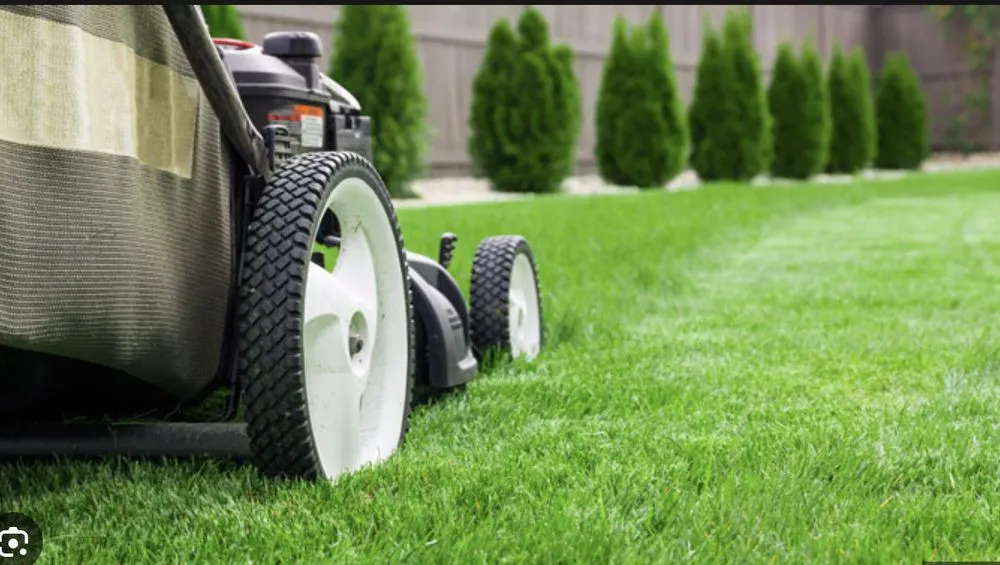 Professional residential landscaping in Aiken, SC by CJR Landscaping