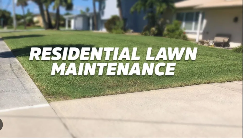 Professional outdoor landscaping in Aiken, SC by CJR Landscaping