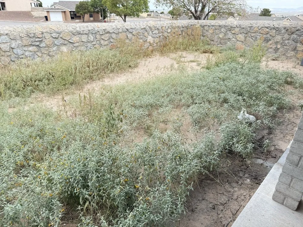 Professional landscaping services experts serving Chaparral, NM - CJR Landscaping