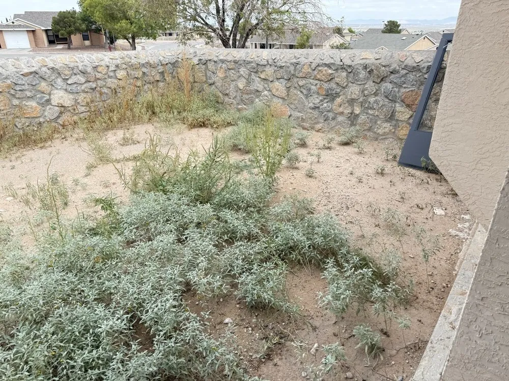 Top-rated outdoor landscaping in Chaparral, NM - CJR Landscaping