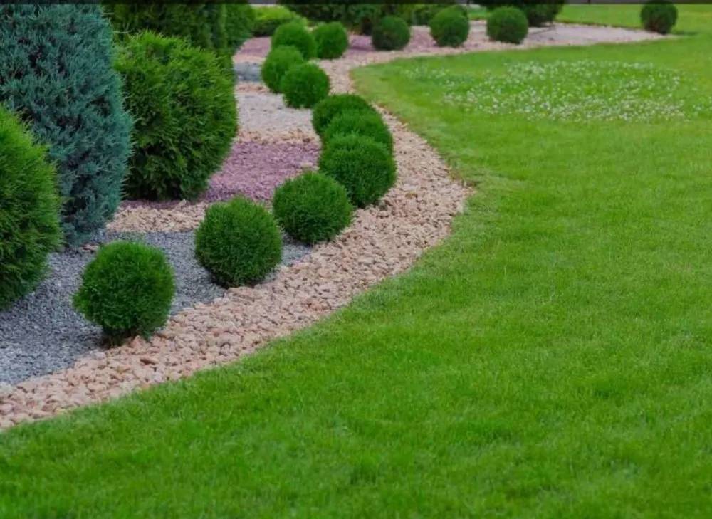 Reliable yard maintenance near you across Roosevelt, NY - CJR Landscaping