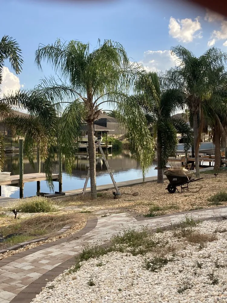 Local yard cleanup service in Wimauma, FL by Cjs Angels