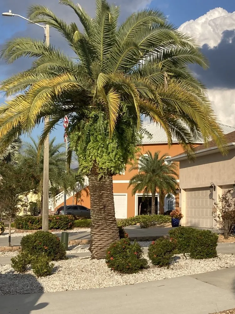 Professional lawn mowing service for residential properties across Wimauma, FL - Cjs Angels