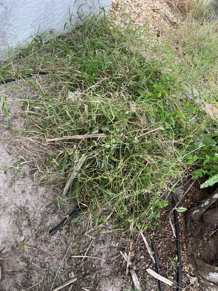 Top-rated landscape design experts serving Wimauma, FL - Cjs Angels