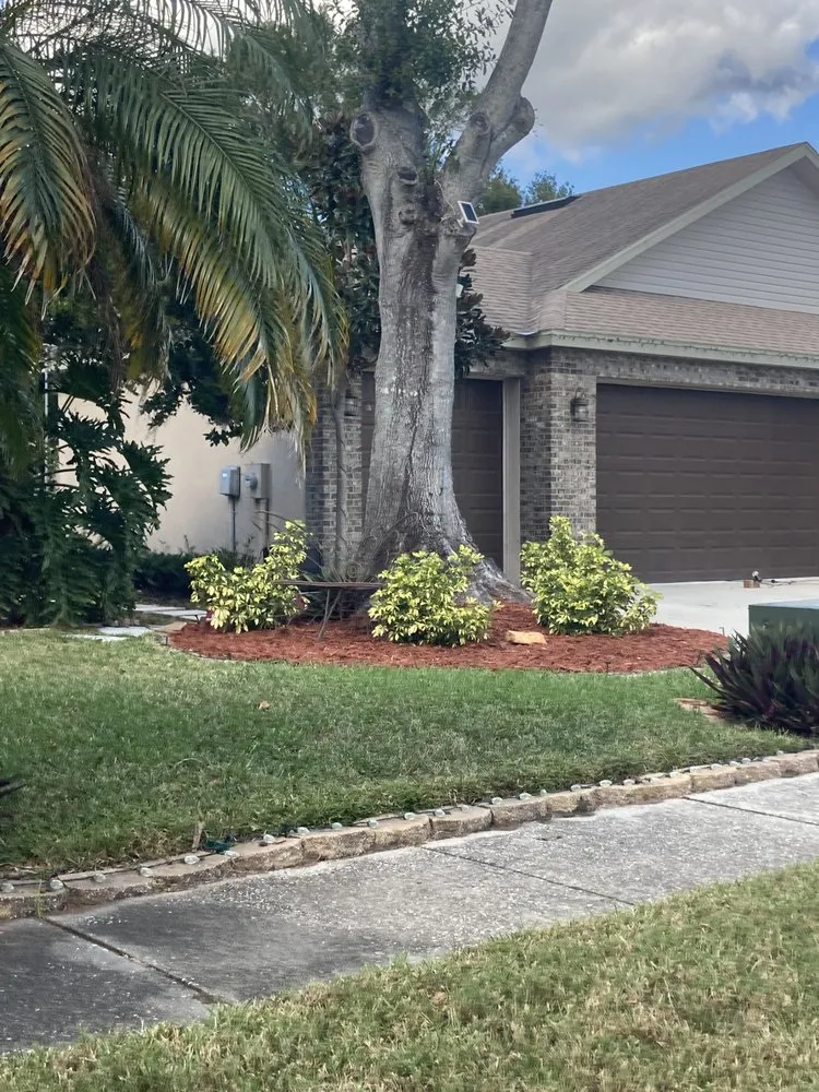 Reliable yard maintenance for beautiful yards in Wimauma, FL by Cjs Angels