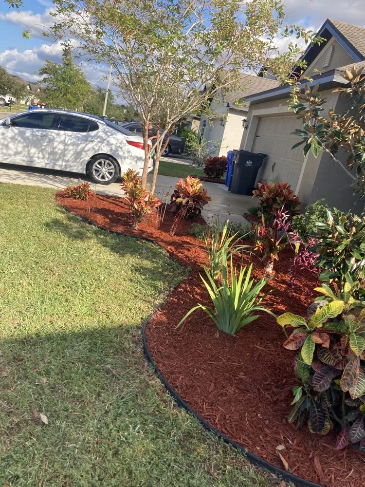 Top-rated lawn mowing service experts serving Wimauma, FL - Cjs Angels