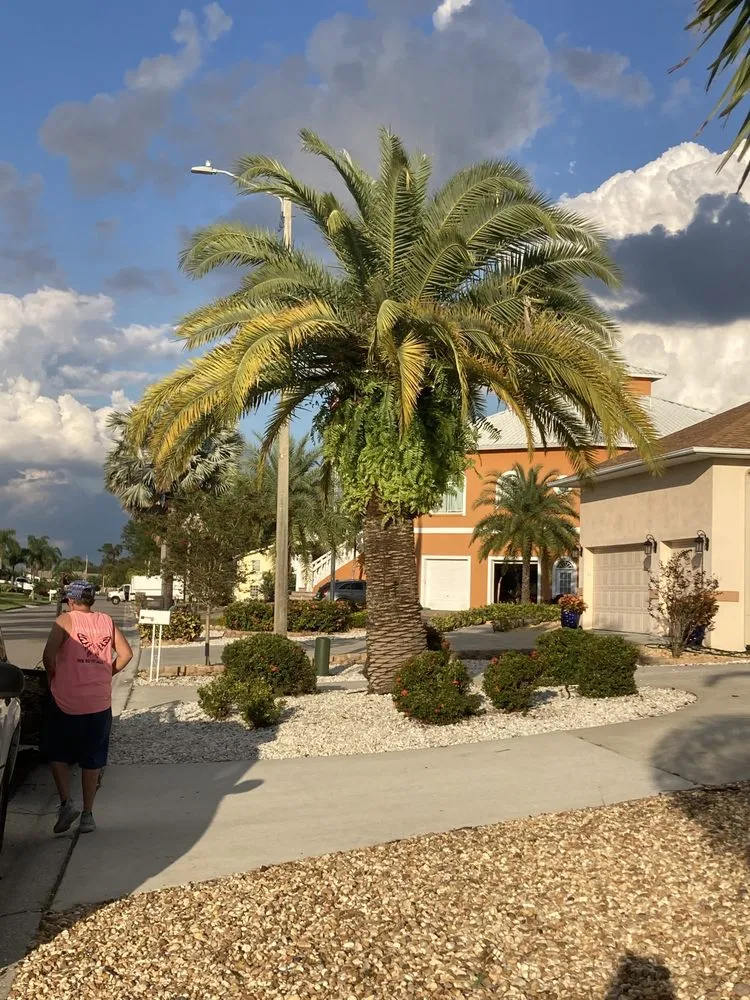 Top-rated yard maintenance for residential properties across Wimauma, FL - Cjs Angels