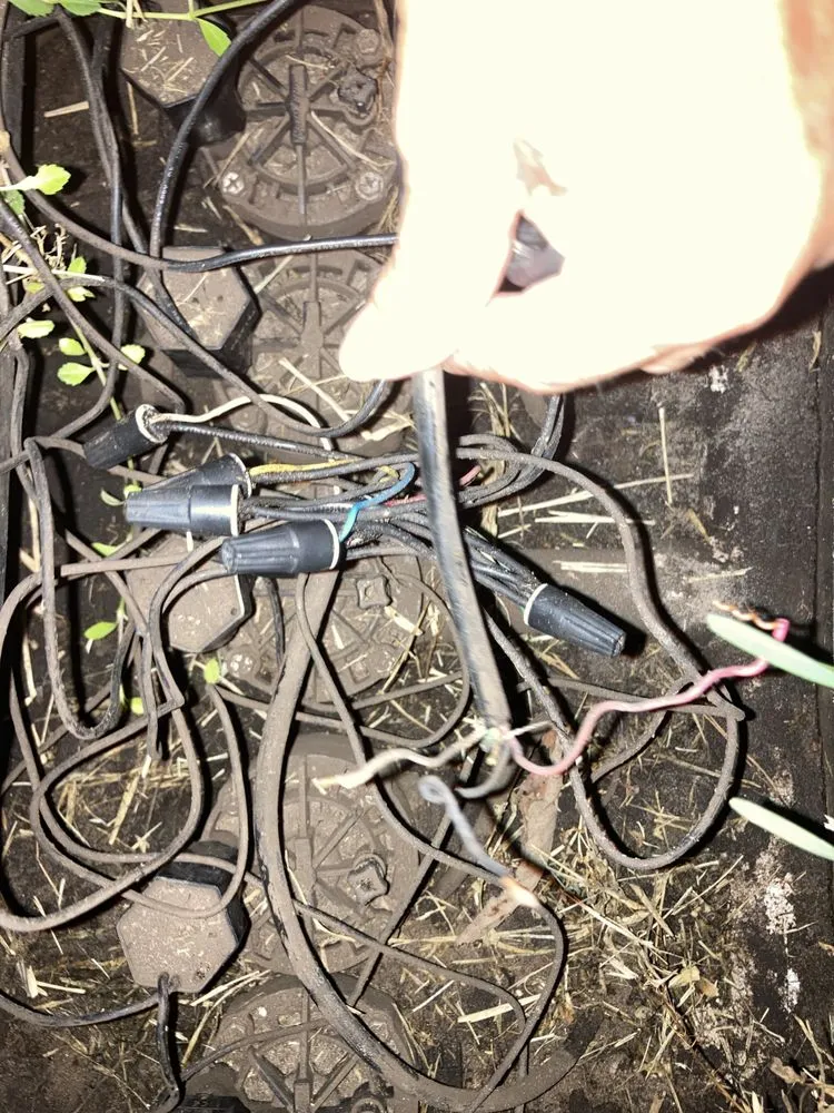 Trusted yard maintenance experts serving Wimauma, FL - Cjs Angels