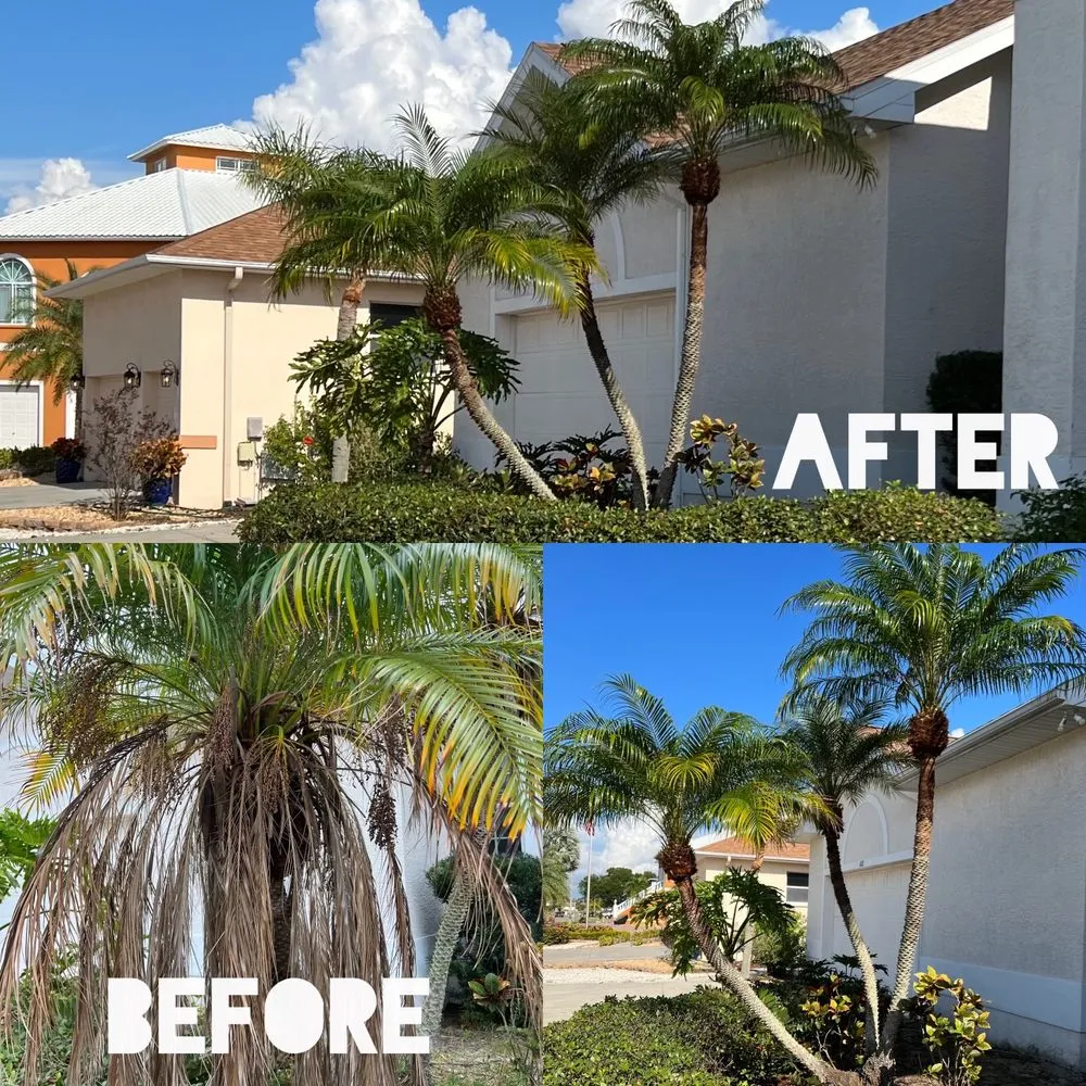 Trusted residential landscaping in Wimauma, FL by Cjs Angels