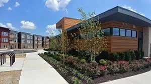 Local yard cleanup service in Kenton, OH - CJs Blooming Creations Landscaping Services