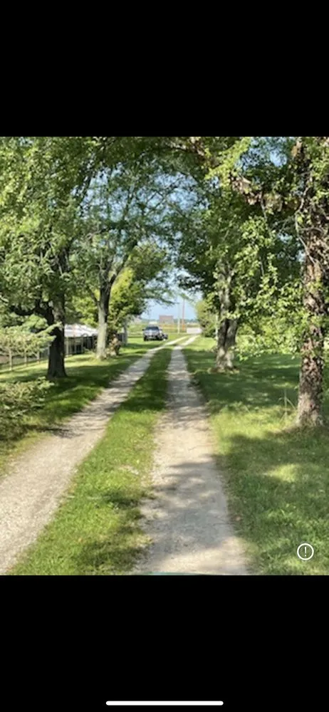 Top-rated lawn care service for homes across Baltimore, OH - C&J’s Earthworks