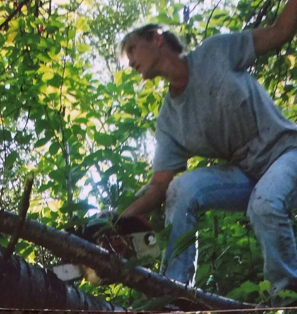 Local residential landscaping in Unionville, VA - CJ's Expert Tree and Yard service