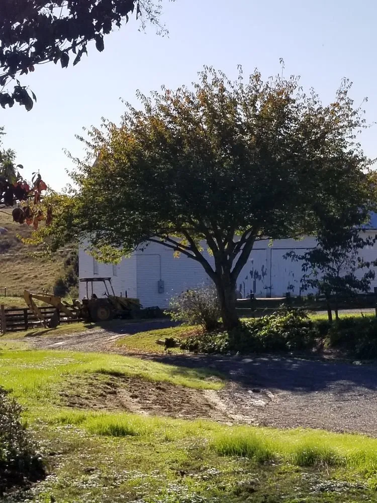 Custom outdoor landscaping experts serving Unionville, VA - CJ's Expert Tree and Yard service