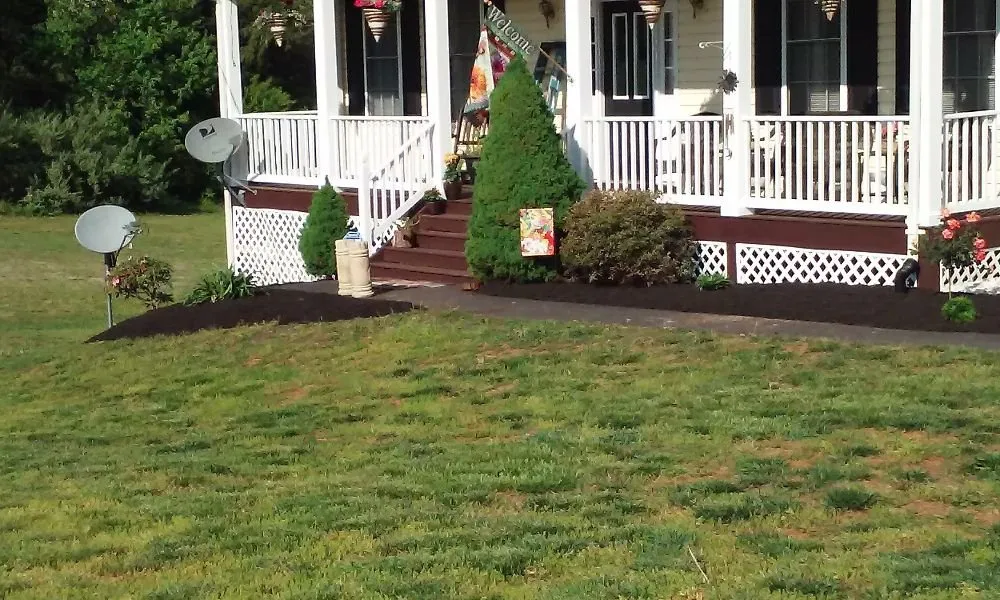 Local residential landscaping in Unionville, VA - CJ's Expert Tree and Yard service